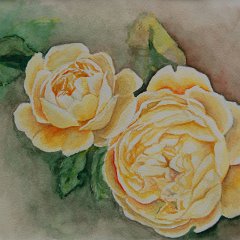 gelbe Rosen gelbe Rosen