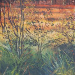 Moorlandschaft
