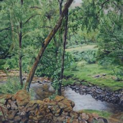 Bei den Craigh Waterfalls